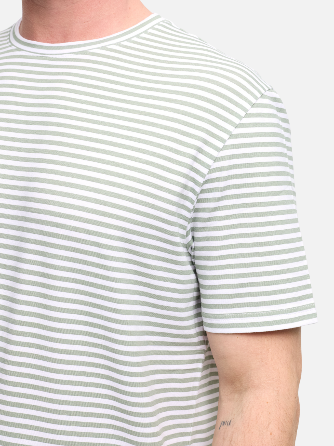 216-730 DiStefano Olive | Olive